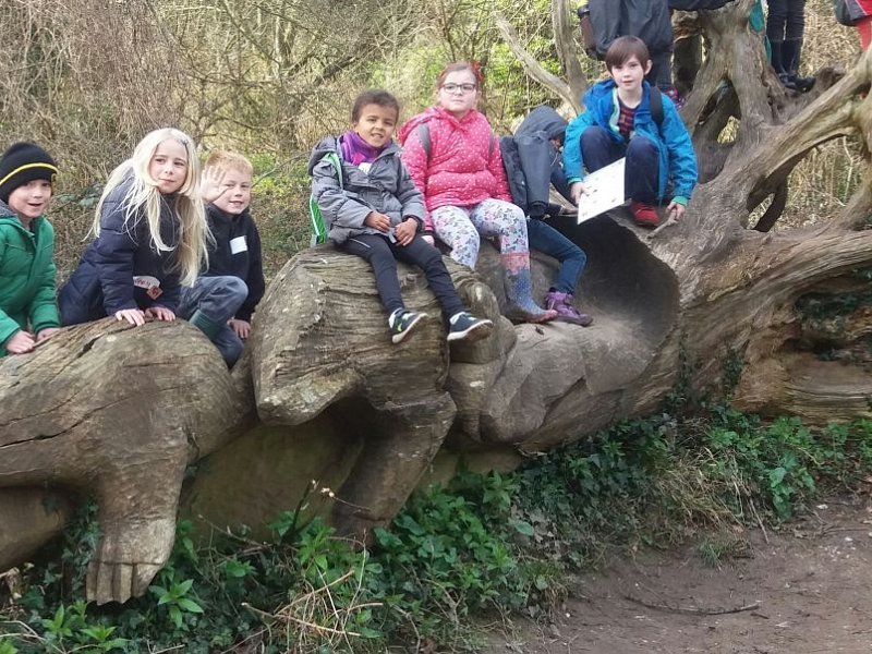 Holiday fun with the Sussex Wildlife Trust